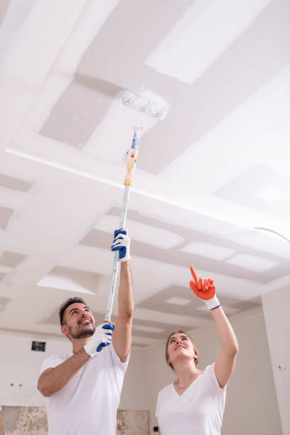 Best Emergency Mold Remediation  in New Canaan, CT