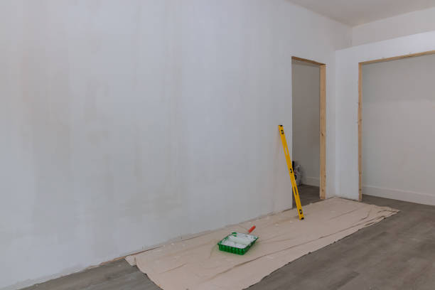 Best Black Mold Removal  in New Canaan, CT