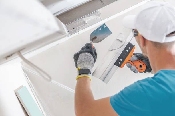 Best Basement Mold Removal  in New Canaan, CT